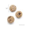 Honest Kitchen - Goat Milk N' Cookies - Blueberry & Vanilla
